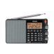 Tecsun PL-880 цифровий всехвильовий радіоприймач 100003 фото 1